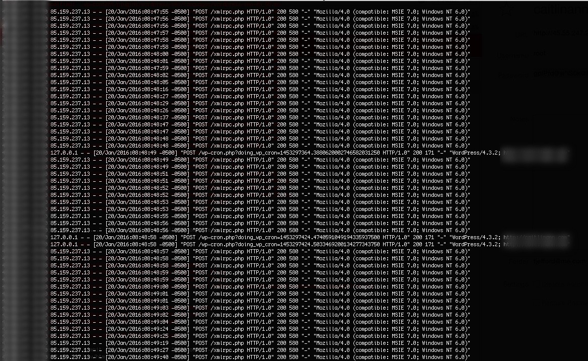 Terminal output of brute force attack