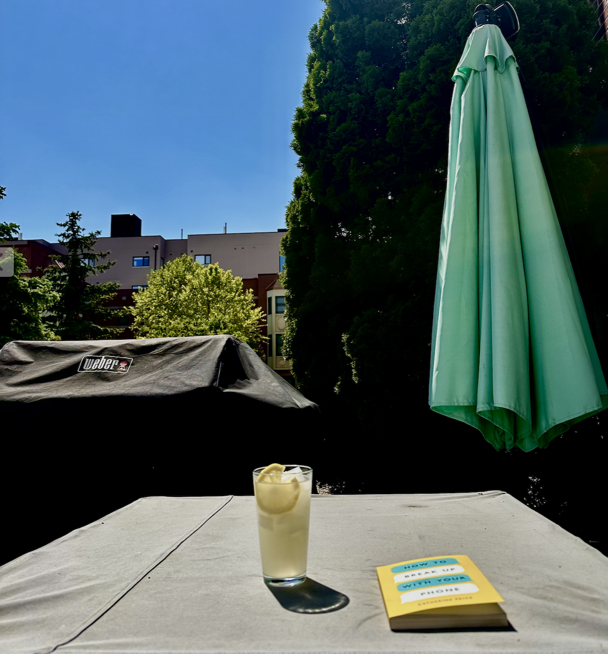 Sunny day reading with a lemonade